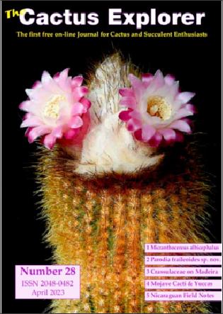 Cover of 28.jpg